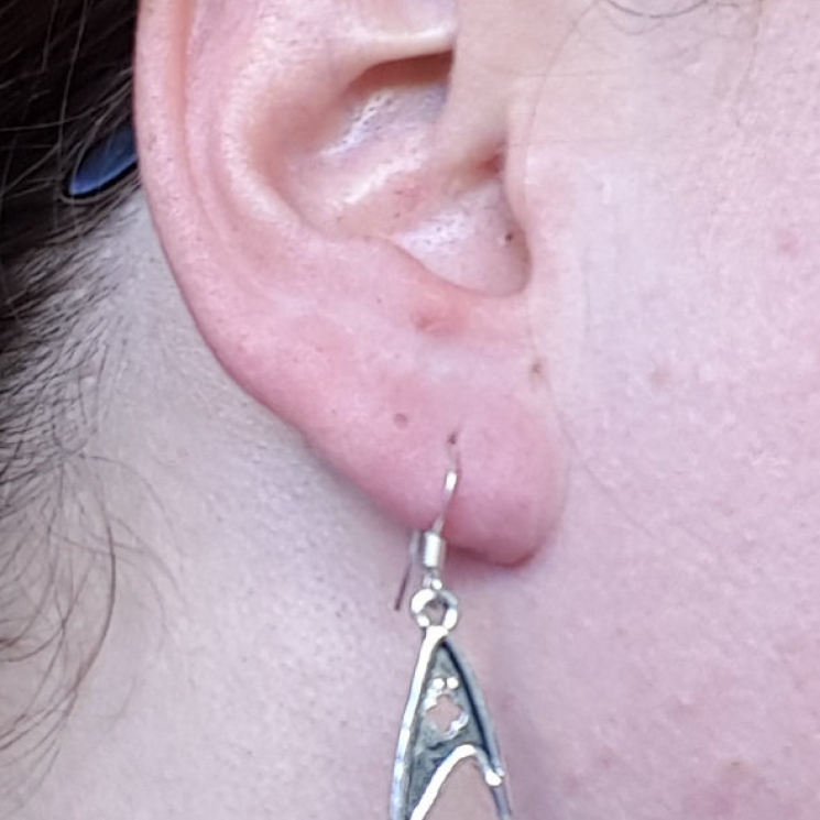 Star Trek TOS Federation Medical Insignia Dangle Earrings