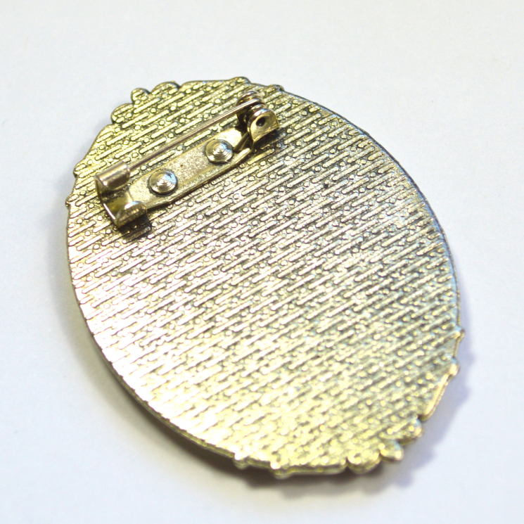 She-Ra Princess of Power 80s Retro Feminist "I Fight Like A Girl Resin Brooch